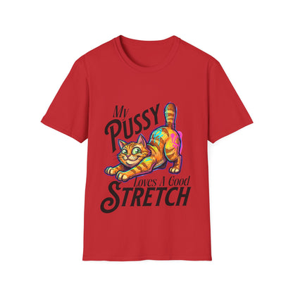 My Pussy Loves A Good Stretch T-Shirt