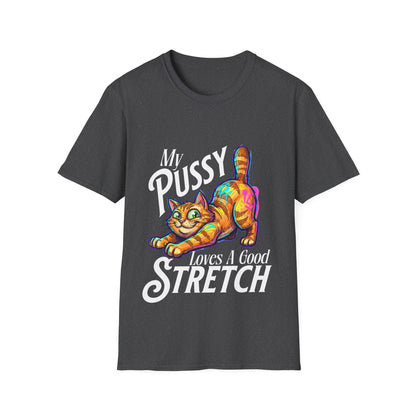My Pussy Loves A Good Stretch T-Shirt